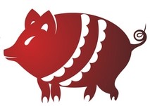 pig